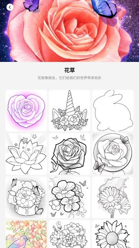 徐小明：周四操作策略(0213)